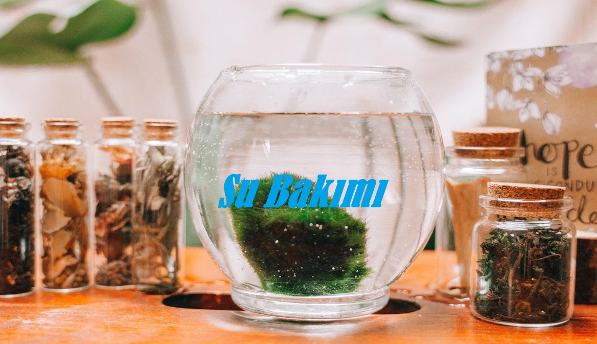 Demo Proje Başlığı 2
